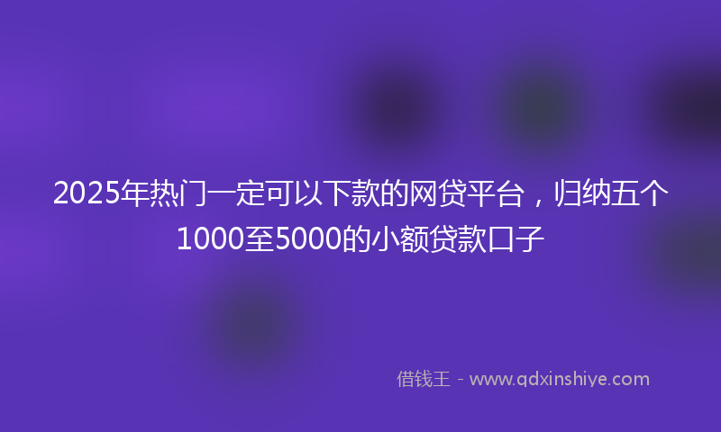 2025年热门一定可以下款的网贷平台，归纳五个1000至5000的小额贷款口子