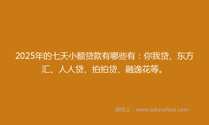 2025年的七天小额贷款有哪些有：你我贷、东方汇、人人贷、拍拍贷、融逸花等。