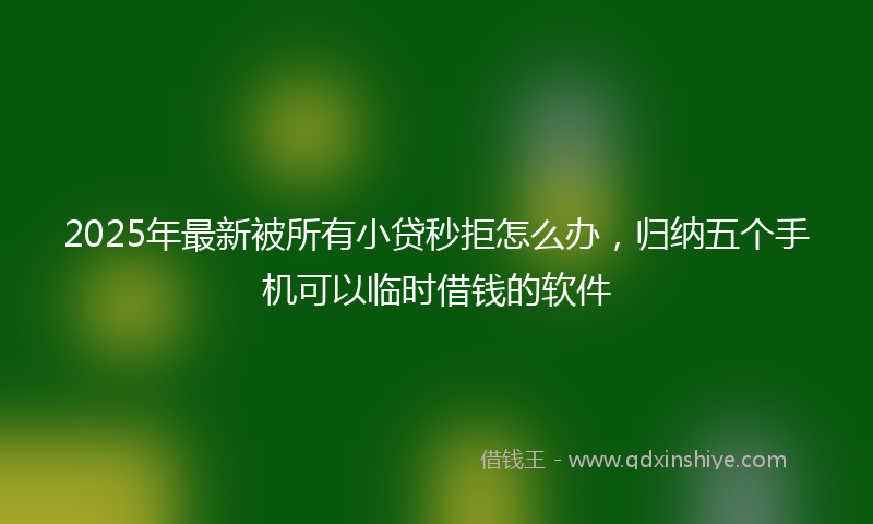 2025年最新被所有小贷秒拒怎么办，归纳五个手机可以临时借钱的软件