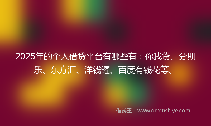 2025年的个人借贷平台有哪些有：你我贷、分期乐、东方汇、洋钱罐、百度有钱花等。