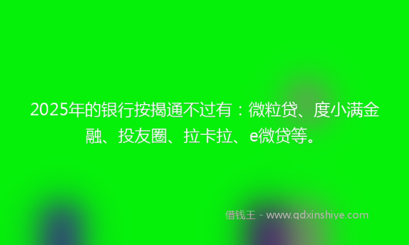 2025年的银行按揭通不过有:微粒贷、度小满金融、投友圈、拉卡拉、e微贷等。