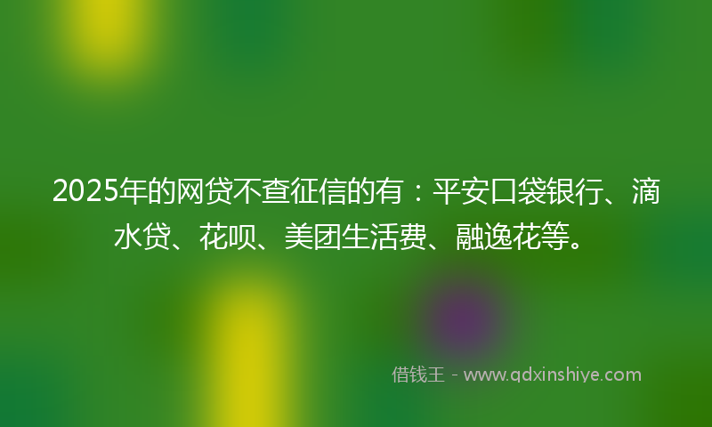 2025年的网贷不查征信的有：平安口袋银行、滴水贷、花呗、美团生活费、融逸花等。