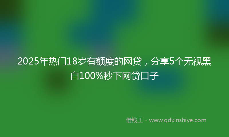 2025年热门18岁有额度的网贷，分享5个无视黑白100%秒下网贷口子