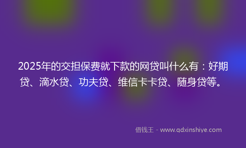 2025年的交担保费就下款的网贷叫什么有：好期贷、滴水贷、功夫贷、维信卡卡贷、随身贷等。