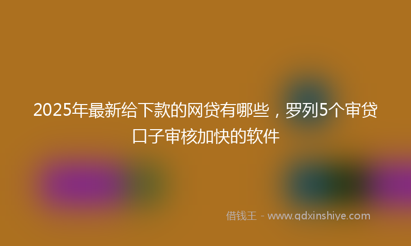 2025年最新给下款的网贷有哪些，罗列5个审贷口子审核加快的软件