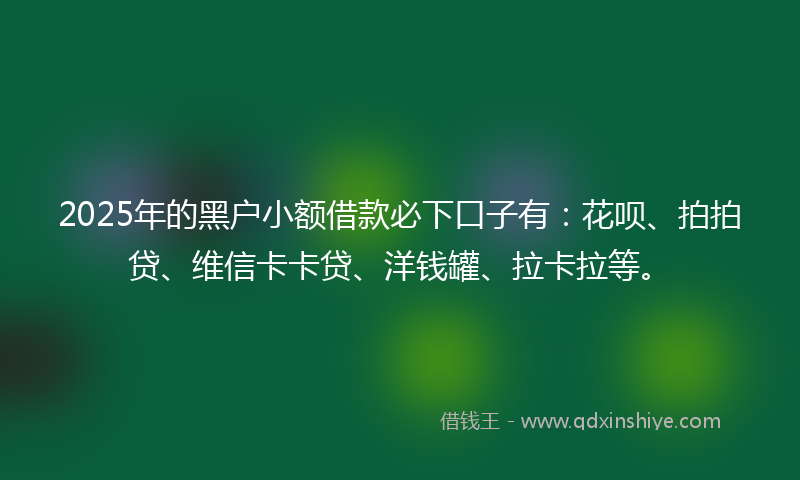 2025年的黑户小额借款必下口子有：花呗、拍拍贷、维信卡卡贷、洋钱罐、拉卡拉等。
