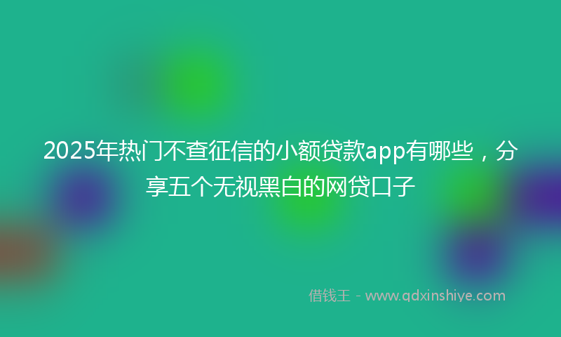 2025年热门不查征信的小额贷款app有哪些，分享五个无视黑白的网贷口子