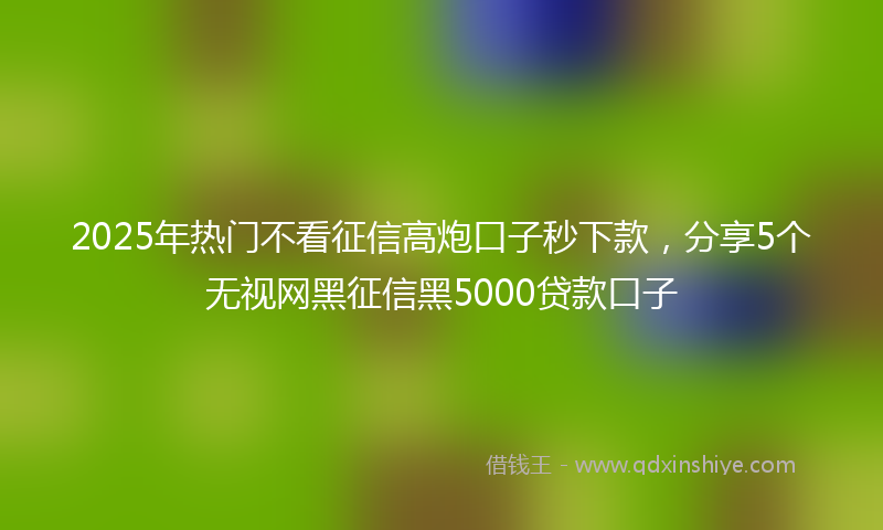 2025年热门不看征信高炮口子秒下款，分享5个无视网黑征信黑5000贷款口子