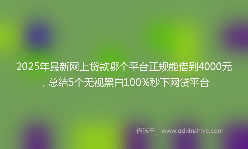 2025年最新网上贷款哪个平台正规能借到4000元，总结5个无视黑白100%秒下网贷平台
