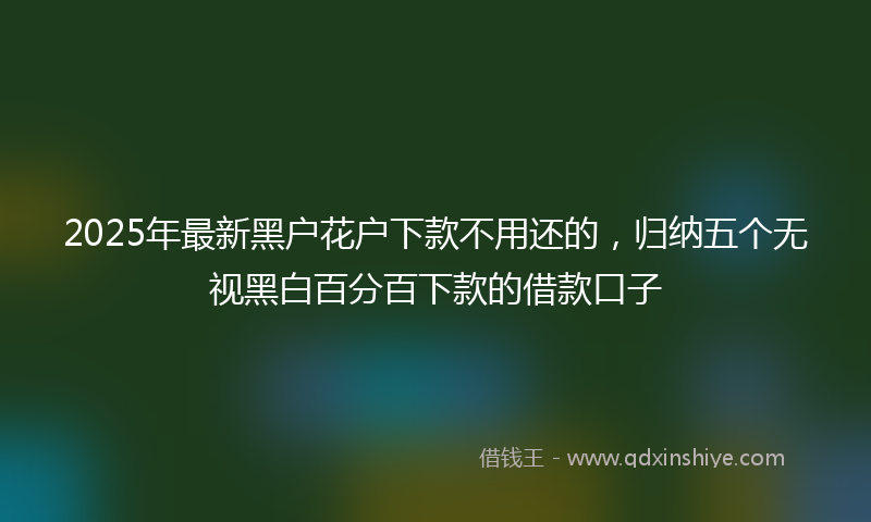 2025年最新黑户花户下款不用还的，归纳五个无视黑白百分百下款的借款口子