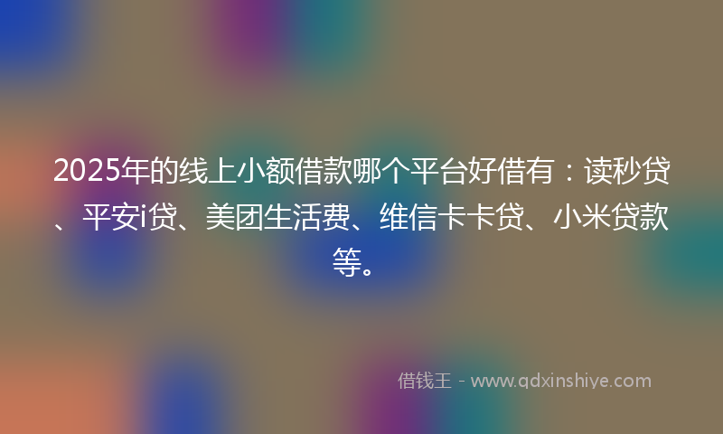 2025年的线上小额借款哪个平台好借有：读秒贷、平安i贷、美团生活费、维信卡卡贷、小米贷款等。