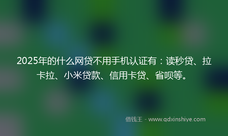 2025年的什么网贷不用手机认证有：读秒贷、拉卡拉、小米贷款、信用卡贷、省呗等。