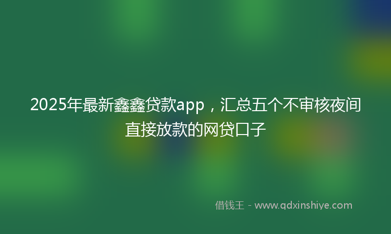 2025年最新鑫鑫贷款app，汇总五个不审核夜间直接放款的网贷口子