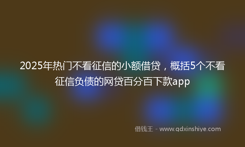 2025年热门不看征信的小额借贷，概括5个不看征信负债的网贷百分百下款app