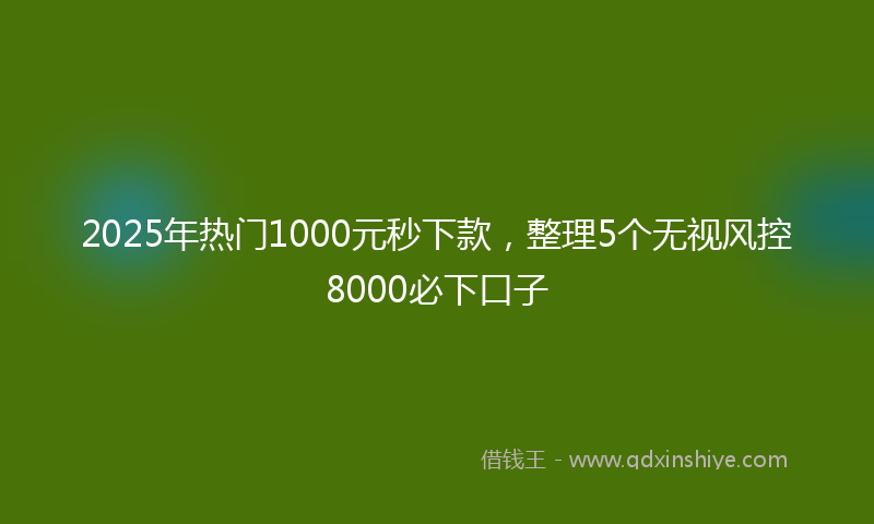 2025年热门1000元秒下款，整理5个无视风控8000必下口子