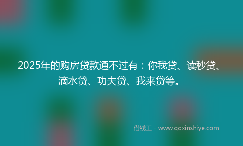 2025年的购房贷款通不过有：你我贷、读秒贷、滴水贷、功夫贷、我来贷等。