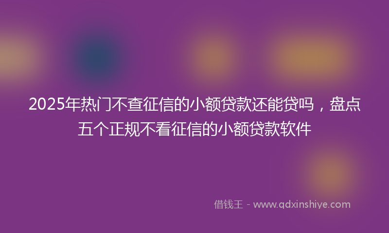 2025年热门不查征信的小额贷款还能贷吗，盘点五个正规不看征信的小额贷款软件