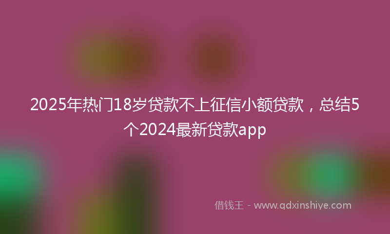 2025年热门18岁贷款不上征信小额贷款，总结5个2024最新贷款app