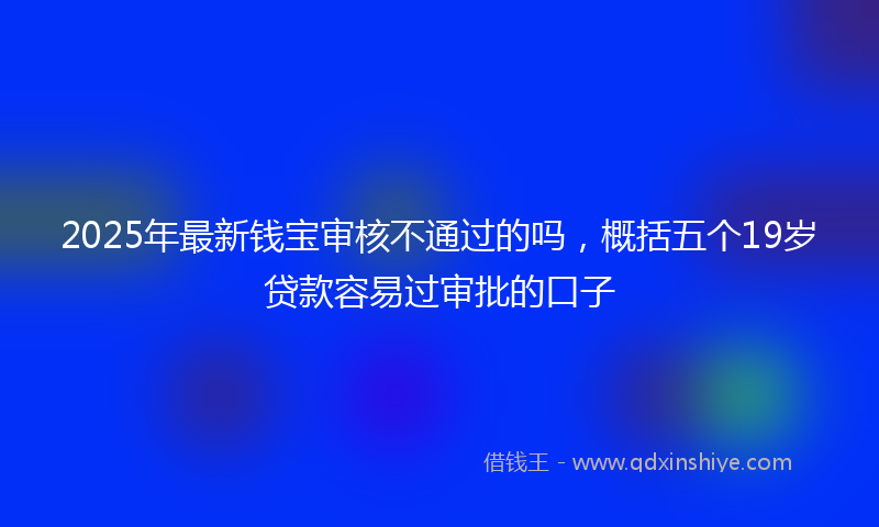 2025年最新钱宝审核不通过的吗，概括五个19岁贷款容易过审批的口子
