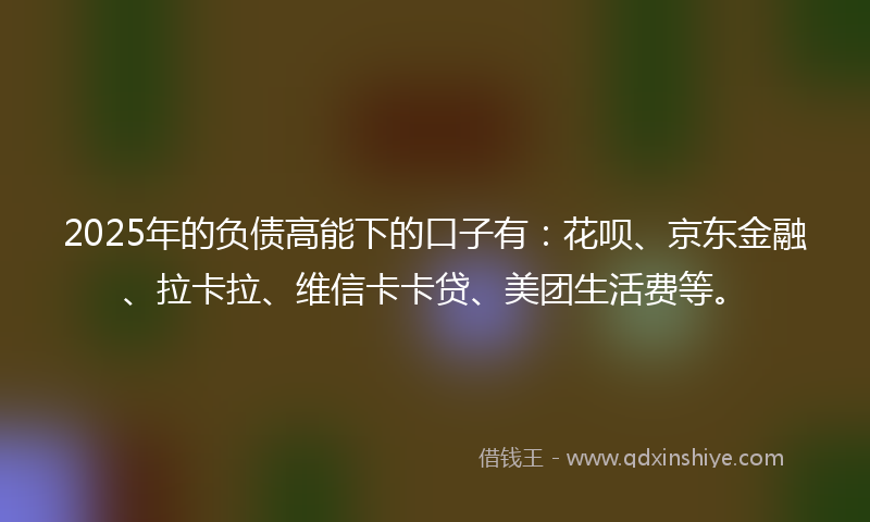 2025年的负债高能下的口子有：花呗、京东金融、拉卡拉、维信卡卡贷、美团生活费等。