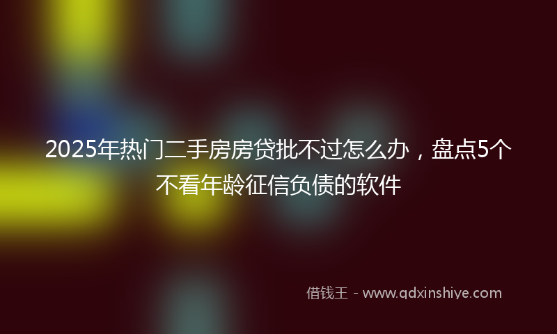 2025年热门二手房房贷批不过怎么办，盘点5个不看年龄征信负债的软件