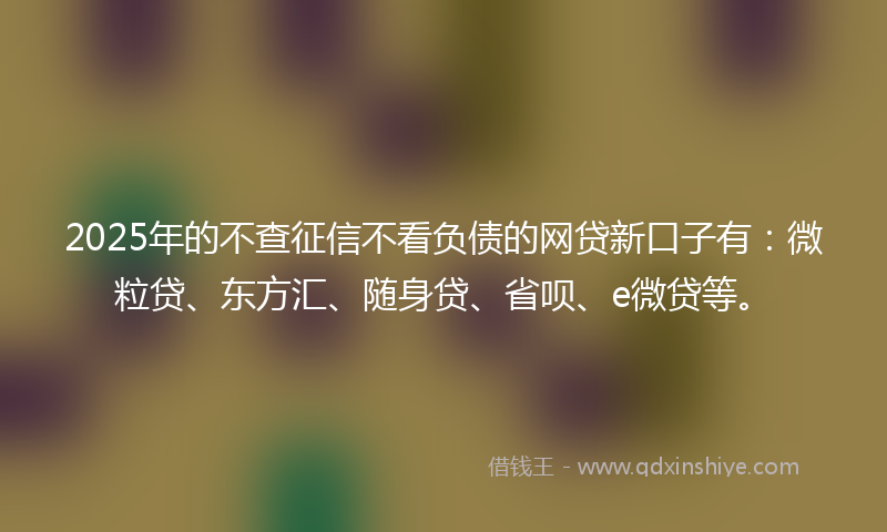 2025年的不查征信不看负债的网贷新口子有：微粒贷、东方汇、随身贷、省呗、e微贷等。