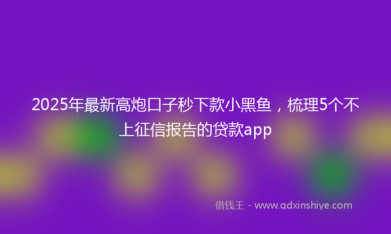 2025年最新高炮口子秒下款小黑鱼，梳理5个不上征信报告的贷款app