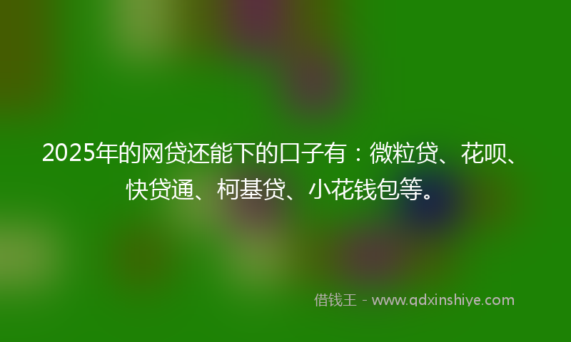 2025年的网贷还能下的口子有：微粒贷、花呗、快贷通、柯基贷、小花钱包等。