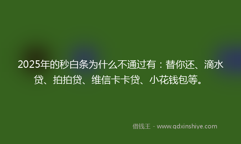 2025年的秒白条为什么不通过有：替你还、滴水贷、拍拍贷、维信卡卡贷、小花钱包等。