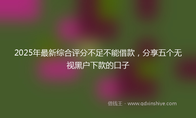 2025年最新综合评分不足不能借款，分享五个无视黑户下款的口子