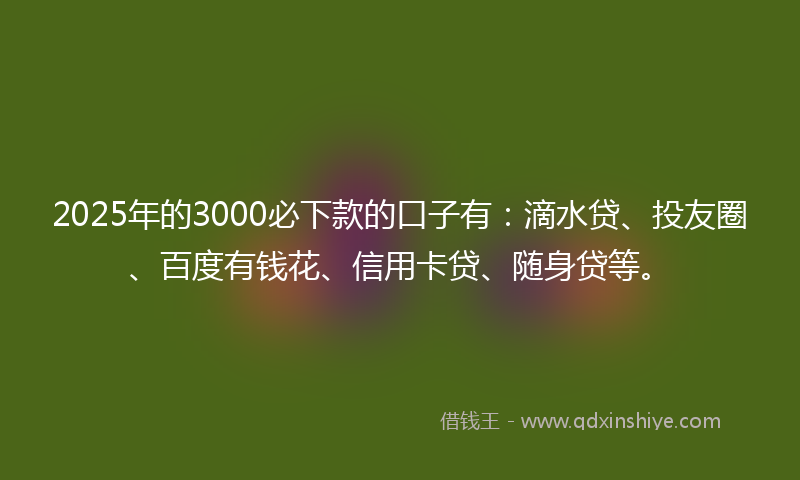 2025年的3000必下款的口子有：滴水贷、投友圈、百度有钱花、信用卡贷、随身贷等。