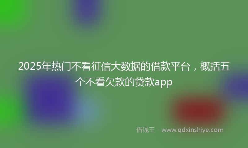 2025年热门不看征信大数据的借款平台，概括五个不看欠款的贷款app