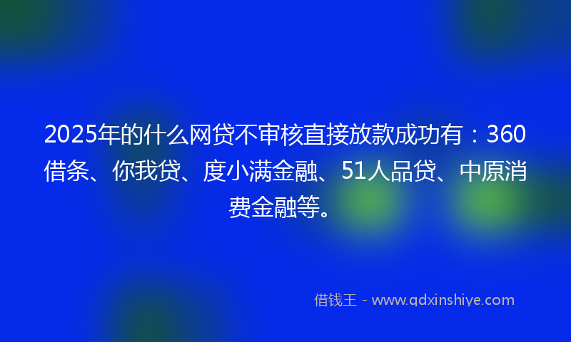 2025年的什么网贷不审核直接放款成功有：360借条、你我贷、度小满金融、51人品贷、中原消费金融等。