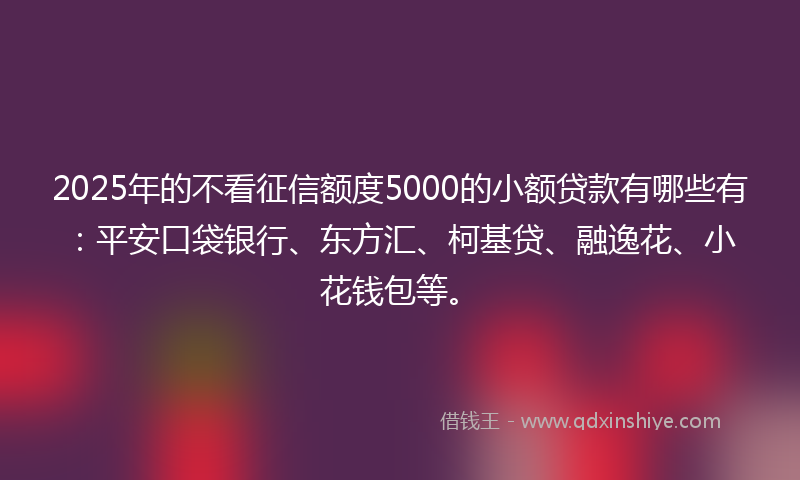 2025年的不看征信额度5000的小额贷款有哪些有：平安口袋银行、东方汇、柯基贷、融逸花、小花钱包等。