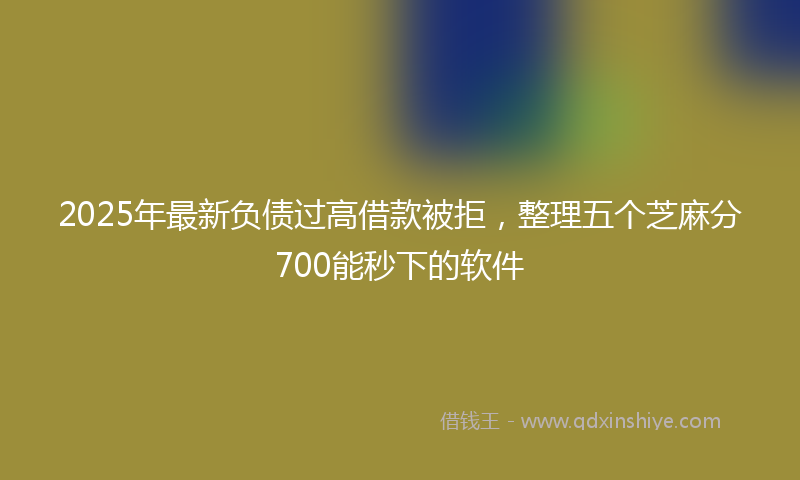 2025年最新负债过高借款被拒，整理五个芝麻分700能秒下的软件