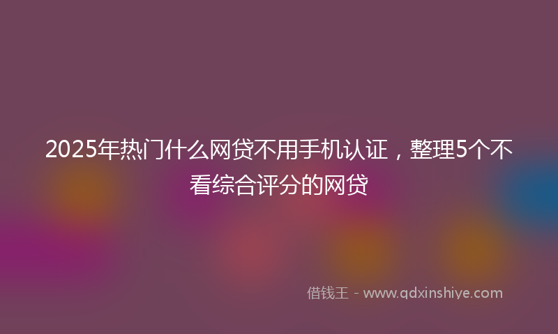 2025年热门什么网贷不用手机认证，整理5个不看综合评分的网贷