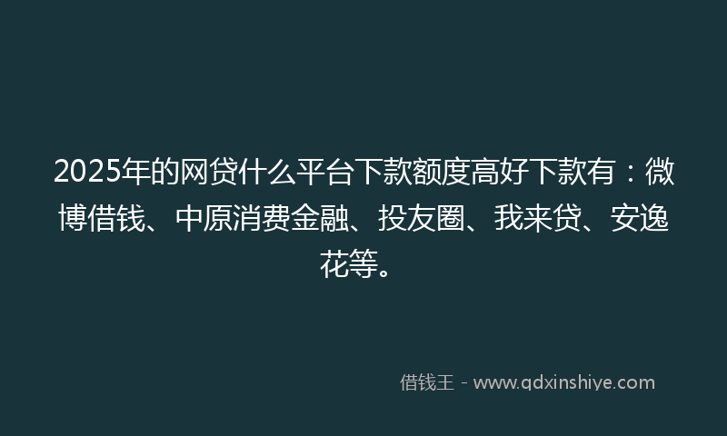 2025年的网贷什么平台下款额度高好下款有：微博借钱、中原消费金融、投友圈、我来贷、安逸花等。