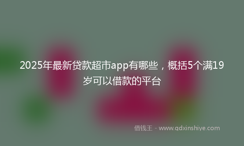 2025年最新贷款超市app有哪些，概括5个满19岁可以借款的平台