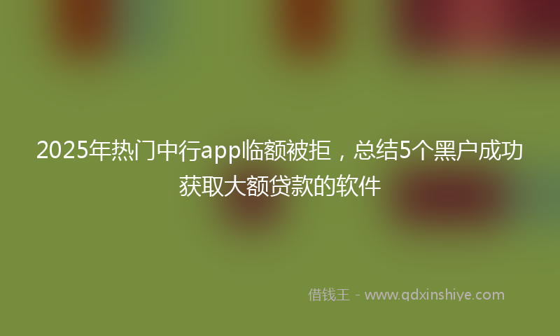 2025年热门中行app临额被拒，总结5个黑户成功获取大额贷款的软件