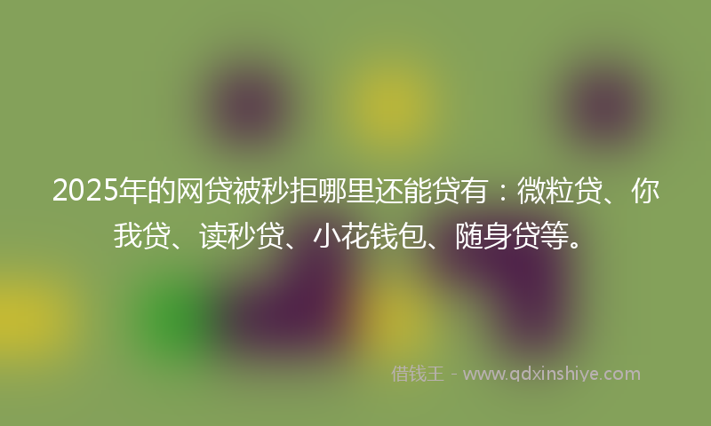 2025年的网贷被秒拒哪里还能贷有：微粒贷、你我贷、读秒贷、小花钱包、随身贷等。