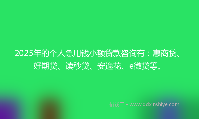2025年的个人急用钱小额贷款咨询有：惠商贷、好期贷、读秒贷、安逸花、e微贷等。