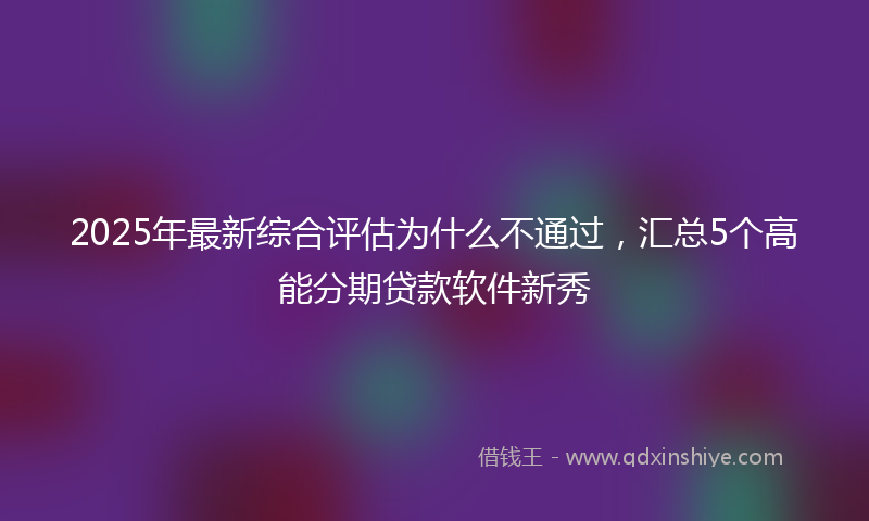 2025年最新综合评估为什么不通过，汇总5个高能分期贷款软件新秀