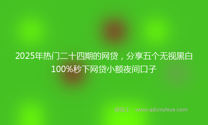 2025年热门二十四期的网贷，分享五个无视黑白100%秒下网贷小额夜间口子