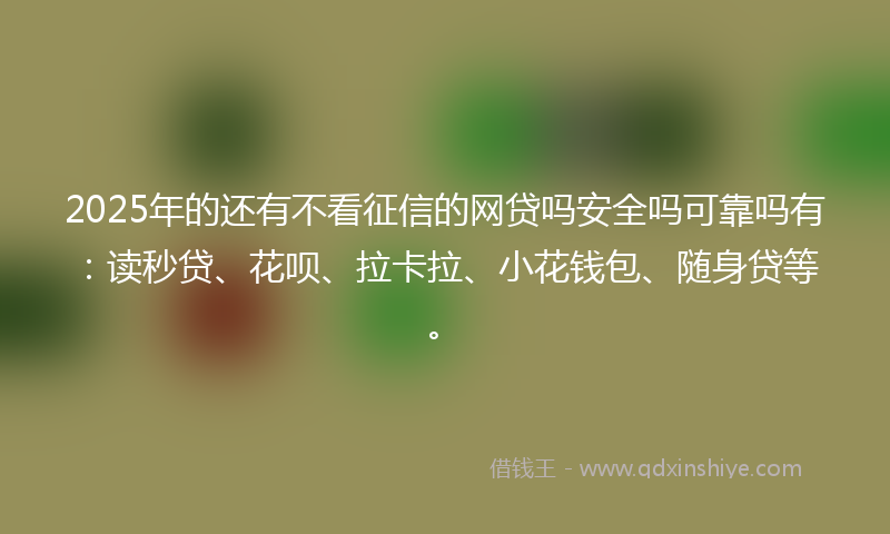 2025年的还有不看征信的网贷吗安全吗可靠吗有：读秒贷、花呗、拉卡拉、小花钱包、随身贷等。