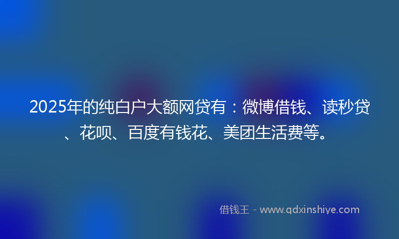2025年的纯白户大额网贷有：微博借钱、读秒贷、花呗、百度有钱花、美团生活费等。