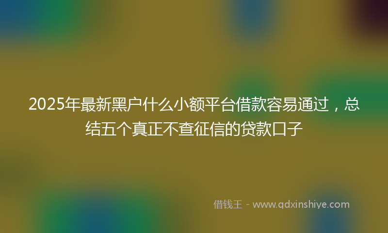 2025年最新黑户什么小额平台借款容易通过，总结五个真正不查征信的贷款口子