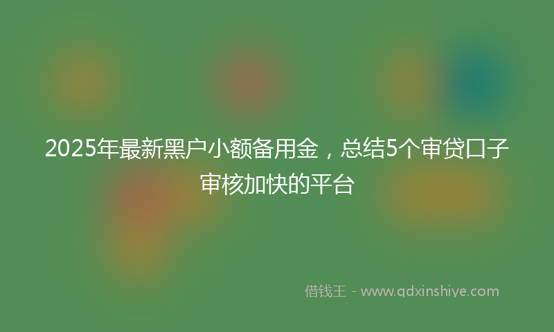 2025年最新黑户小额备用金，总结5个审贷口子审核加快的平台
