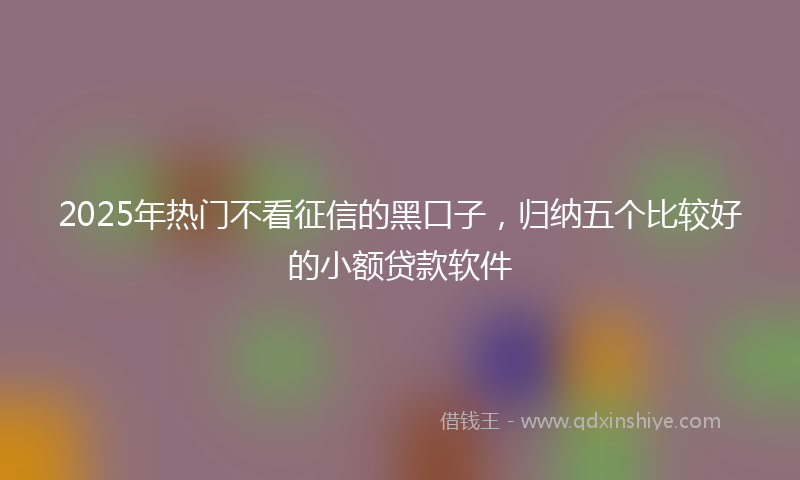 2025年热门不看征信的黑口子，归纳五个比较好的小额贷款软件