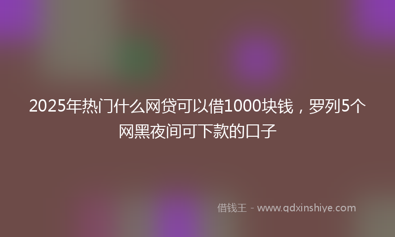 2025年热门什么网贷可以借1000块钱，罗列5个网黑夜间可下款的口子