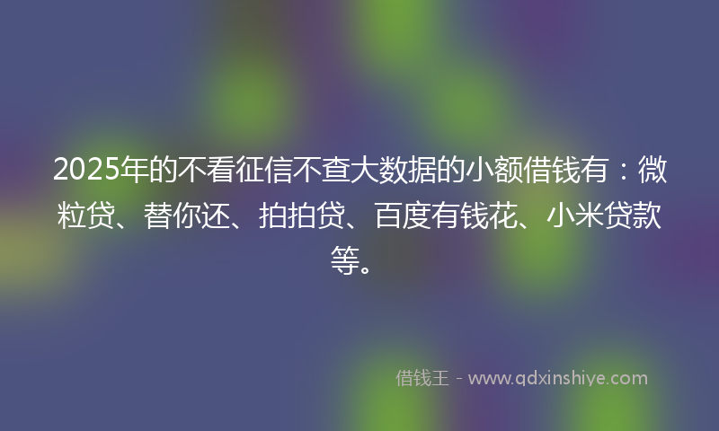 2025年的不看征信不查大数据的小额借钱有：微粒贷、替你还、拍拍贷、百度有钱花、小米贷款等。